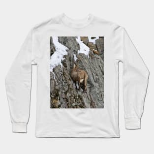 Ibex On Cliff Long Sleeve T-Shirt